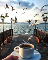 Без бренда «2KMB-1952» в Белгороде 