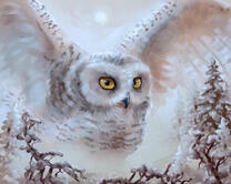 Без бренда «2KMB-3848» в Белгороде 