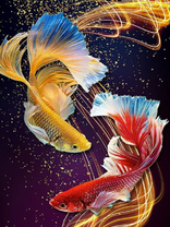 Без бренда «Желтая и красная рыбки» в Белгороде 