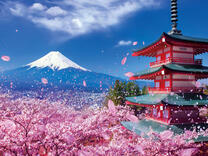 Без бренда «2KSB-7277» в Белгороде 