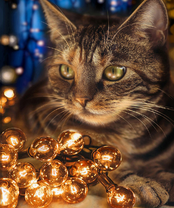 Без бренда «2KXSB-0678» в Белгороде 