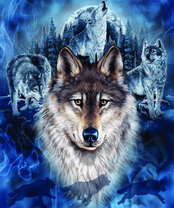 Без бренда «2KXSB-0687» в Белгороде 