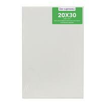 Без бренда «Коробка 80 шт.: Холст Две картинки на подрамнике 20X30» в Белгороде 