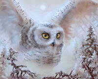 Без бренда «Полярная сова над лесом (20шт)» в Белгороде 