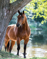 Без бренда «BOX20-2KMB-4594» в Белгороде 