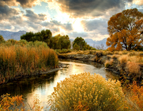 Без бренда «BOX25-GX29355» в Белгороде 