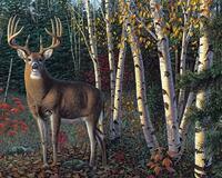 Без бренда «Олень у берез» в Белгороде в интернет-магазине Без бренда «Олень у берез» в Белгороде