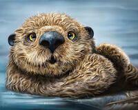 Картина по номерам «Удивительный бобер»