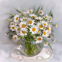 Без бренда «Букет свежих ромашек» в Белгороде 