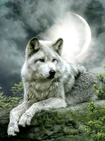 Без бренда «Коробка 25 шт. картин по номерам BOX25-GX21058» в Белгороде  в интернет-магазине  Без бренда «Коробка 25 шт. картин по номерам BOX25-GX21058» в Белгороде