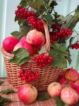 Без бренда «Коробка 25 шт. картин по номерам BOX25-GX5174» в Белгороде в интернет-магазине  Без бренда «Коробка 25 шт. картин по номерам BOX25-GX5174» в Белгороде