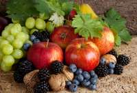 Без бренда «Фрукты, ягоды и орехи» в Белгороде в интернет-магазине Без бренда «Фрукты, ягоды и орехи» в Белгороде