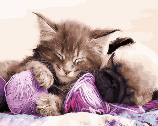 Картина по номерам 40x50 Котёнок и щенок отдыхают на пряже