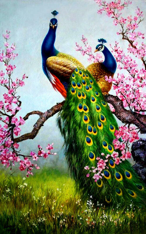 Картина по номерам 40x50 Павлины на ветке цветущей сакуры