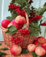 Без бренда «Плетёная корзина с калиной и яблоками» в Белгороде 