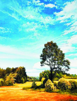 Без бренда «Осенний пейзаж с голубым небом» в Белгороде 