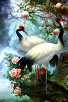 Без бренда «Коробка 25 шт. картин по номерам BOX25-GX29399» в Белгороде  в интернет-магазине  Без бренда «Коробка 25 шт. картин по номерам BOX25-GX29399» в Белгороде