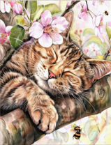 Без бренда «Волосатый котик спит на ветви яблони» в Белгороде 