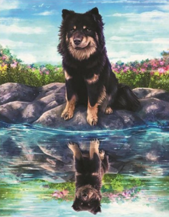 Пушистый пёс у озера и отражение щенка, артикул sga3229 купить по цене 654.00 рублей в Белгороде — интернет магазин Две картинки.